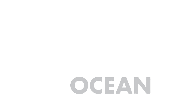 Clean Ocean Access