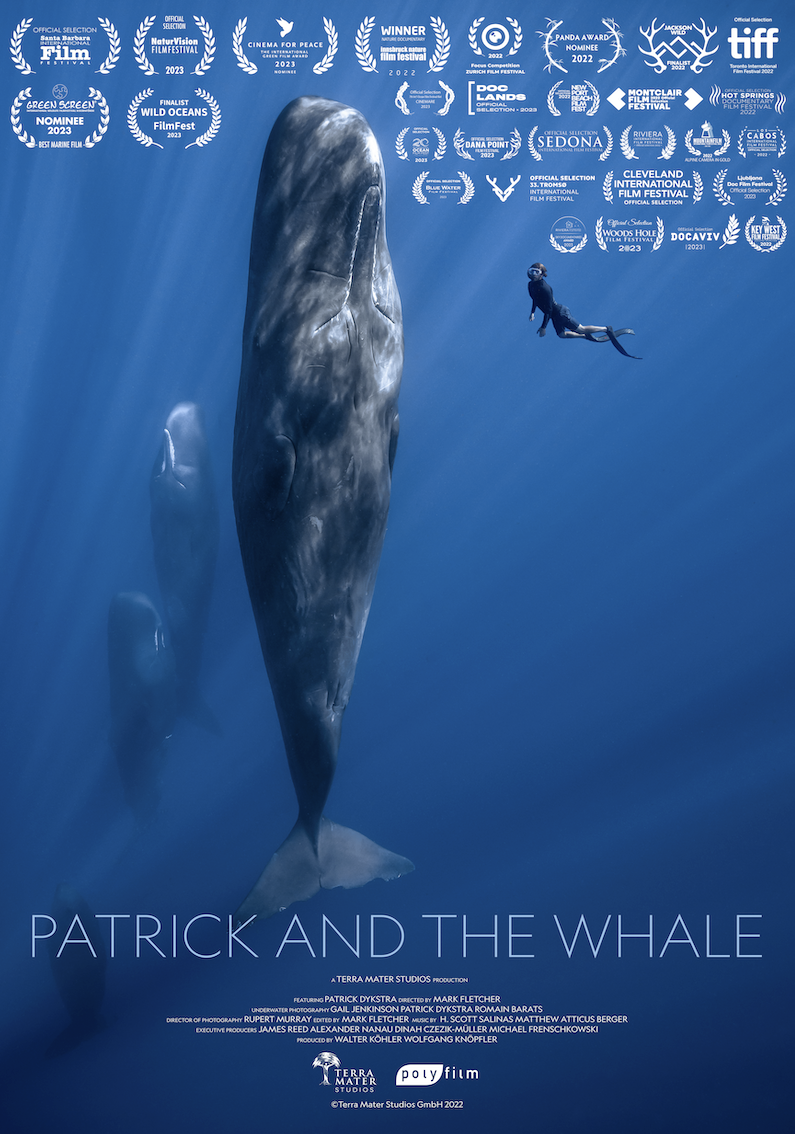 Patrick And The Whale
