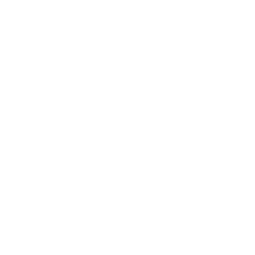 Women’s Fund RI