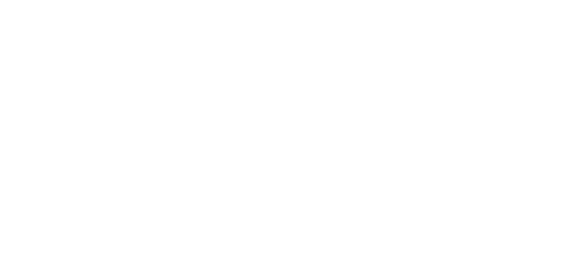 Newport Experience