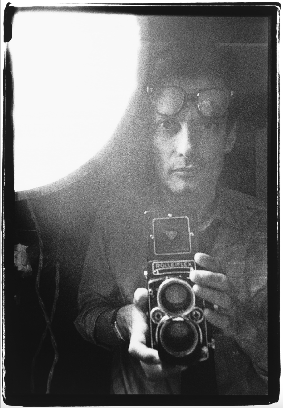 AVEDON